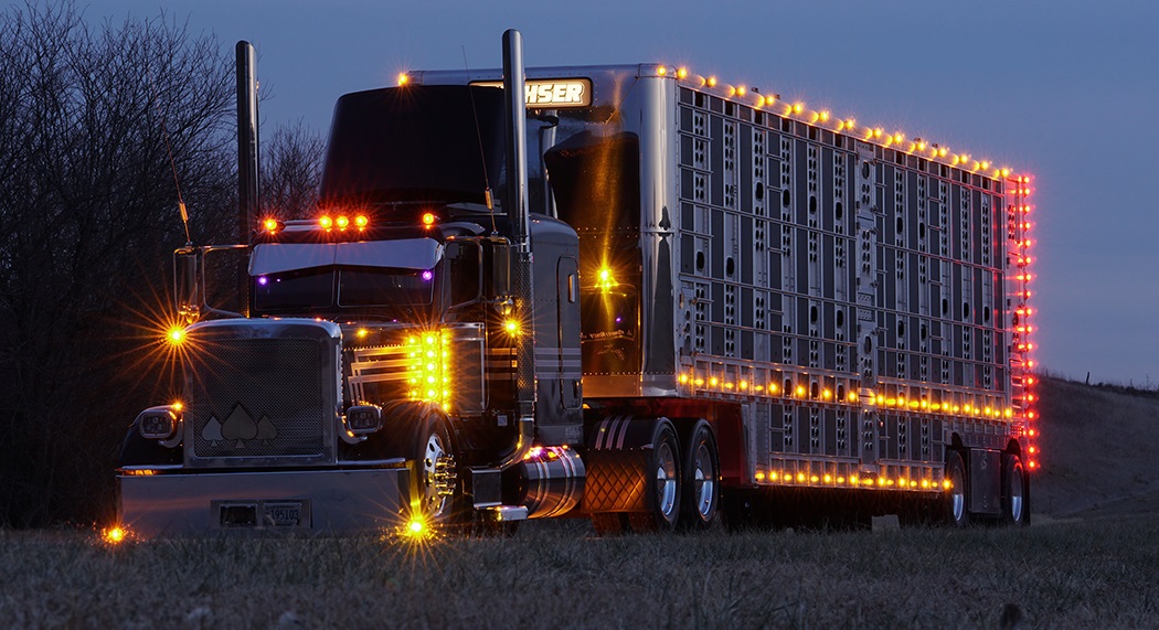 2017 Custom Peterbilt 389 Glider: The Ultimate Heavy-Duty Masterpiece ...